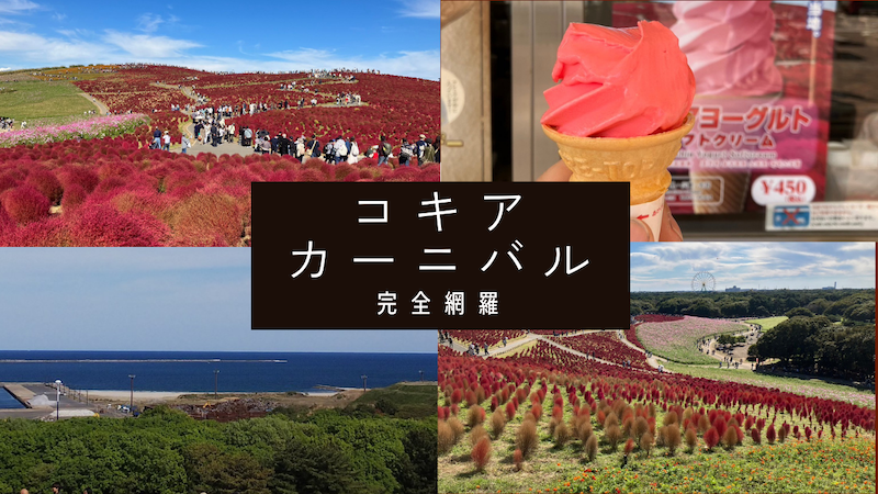 地元民が愛しているコキアカーニバルの楽しみ方の最適解！鑑賞時期やアクセス・駐車場情報などを網羅的に紹介