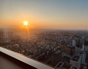 高層ホテルからの景色