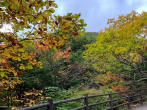 秋　日光紅葉　ハイキング